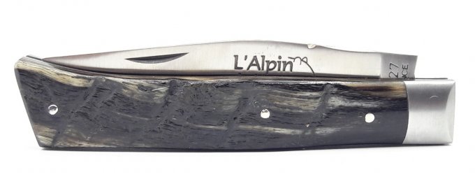 L'Alpin du Vercors, croûte de bélier (CBE06)