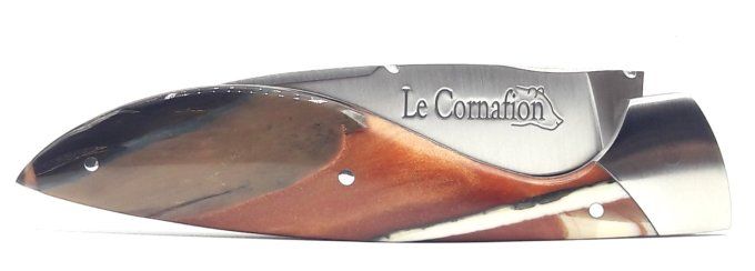 Le Cornafion, manche en fragments d'ivoire de mammouth stabilisé (FIMS1)