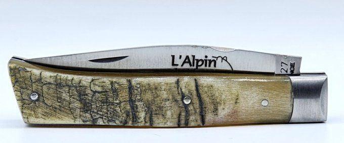 L'Alpin du Vercors, croûte de bélier (CBE07)