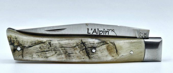 L'Alpin du Vercors, croûte de bélier (CBE08)