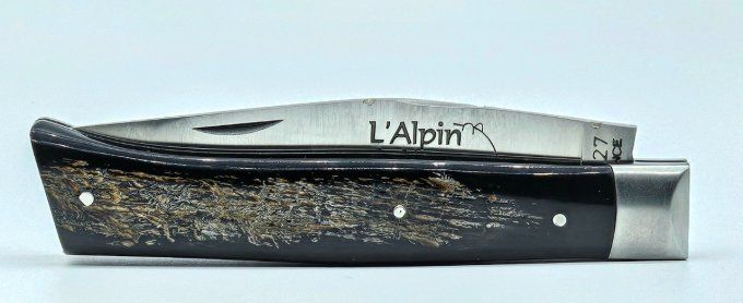 L'Alpin du Vercors, corne de buffle (CBU05)