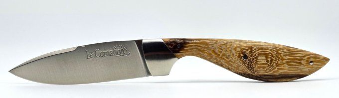 Le Cornafion bois de serpent (BS15)